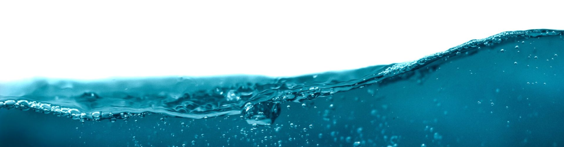 daniel-sinoca-AANCLsb0sU0-unsplash